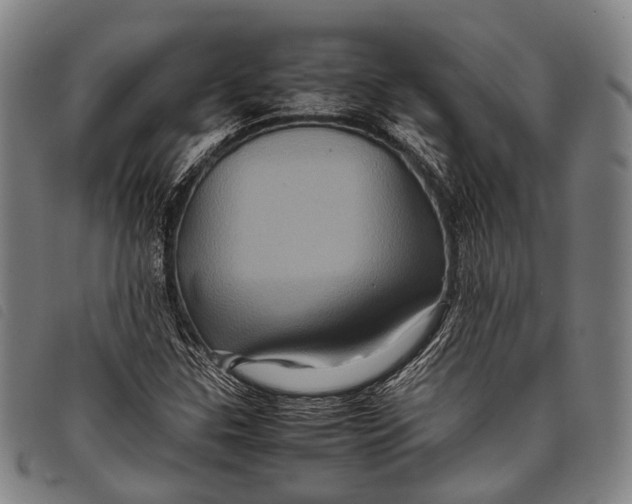 X0000097841307200804041434