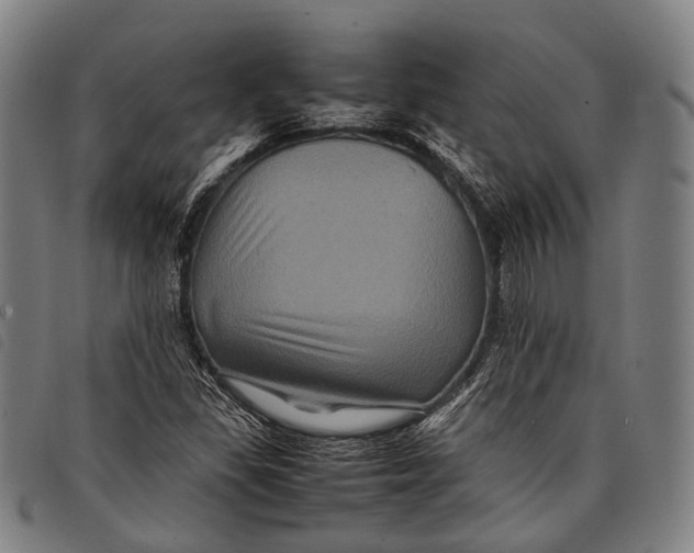 X0000097841309200804041434