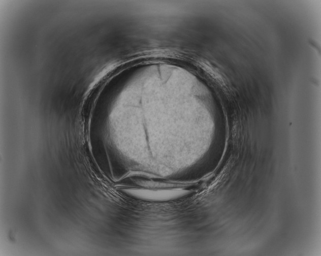 X0000097841310200804041434