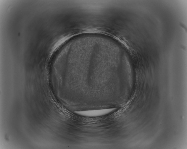 X0000097841311200804041434