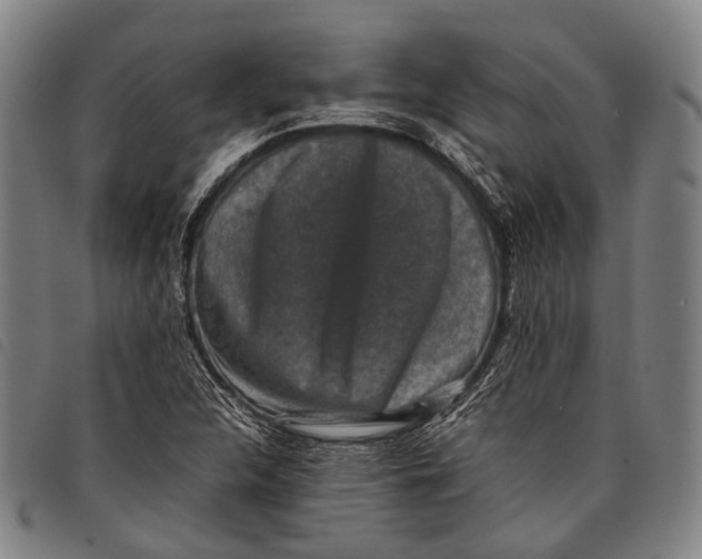X0000097841312200804041434