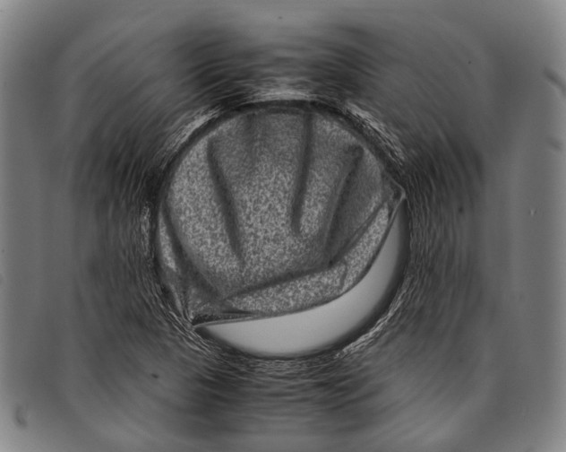 X0000097841313200804041434