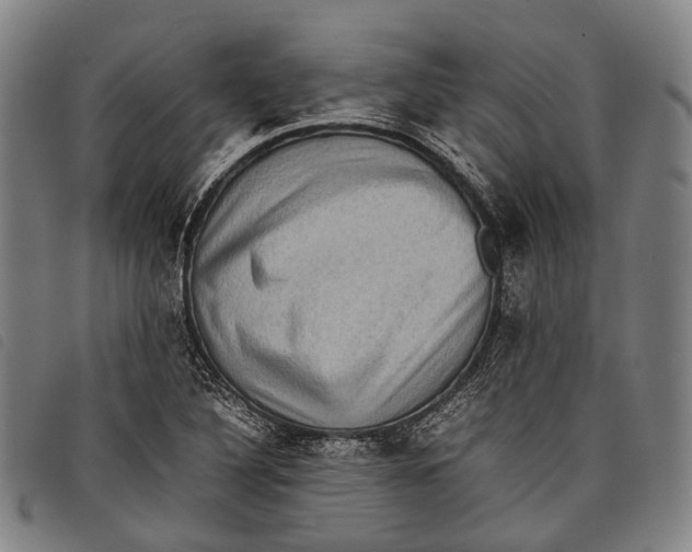 X0000097841316200804041434