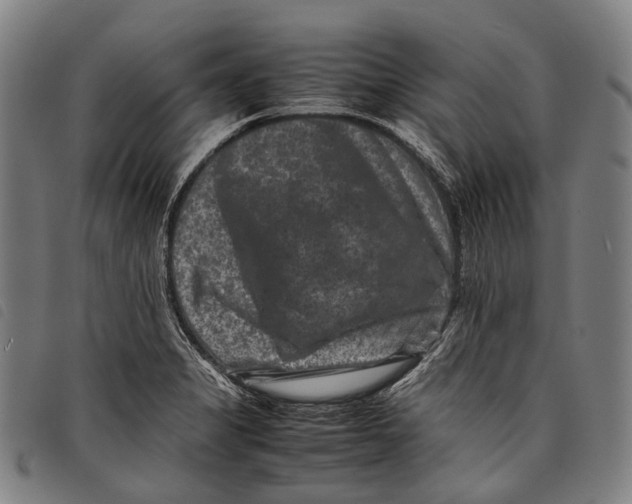X0000097841325200804041434