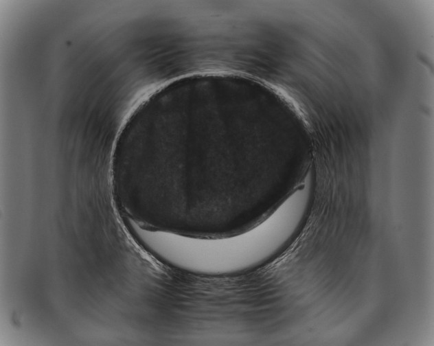 X0000097841327200804041435