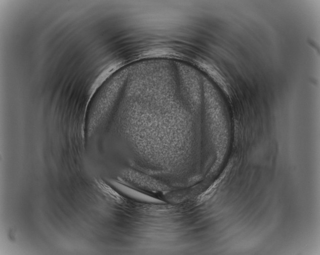X0000097841330200804041435