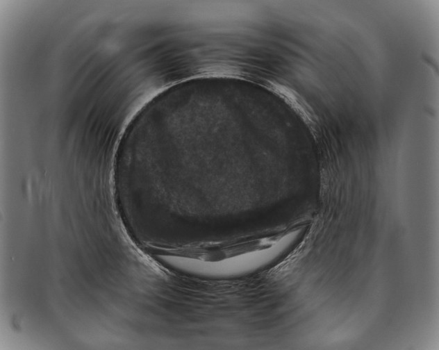 X0000097841331200804041435