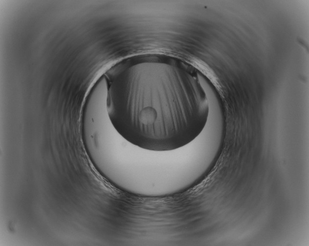 X0000097841332200804041435