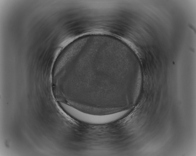 X0000097841335200804041435