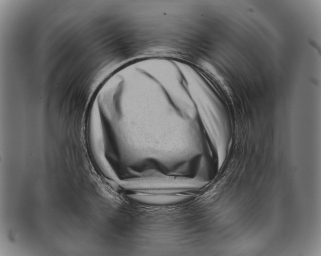 X0000097841336200804041435