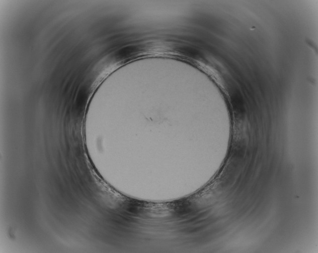 X0000097841338200804041435
