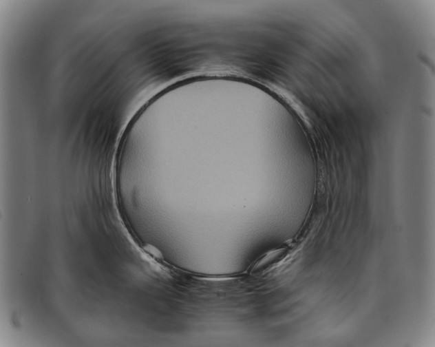 X0000097841343200804041435