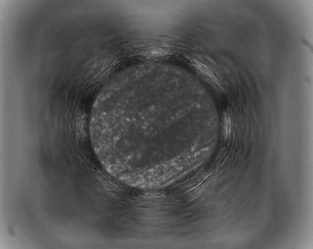 X0000097841346200804041434