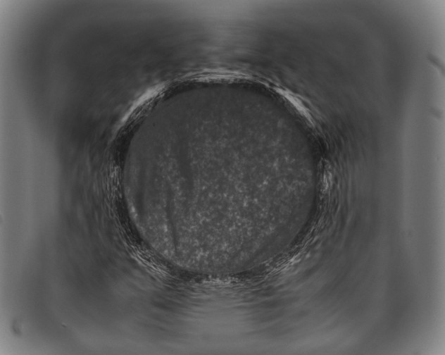X0000097841351200804041434