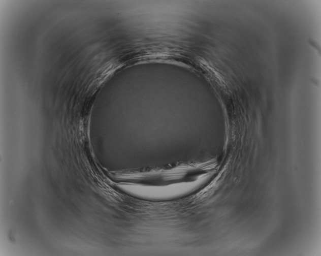 X0000097841353200804041434