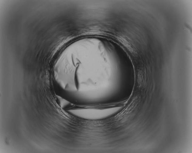 X0000097841356200804041434