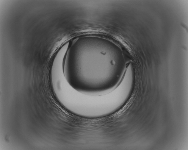 X0000097841357200804041434