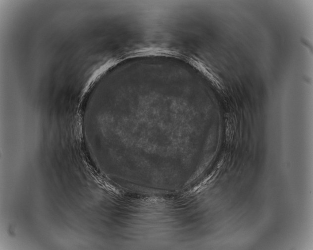 X0000097841358200804041434