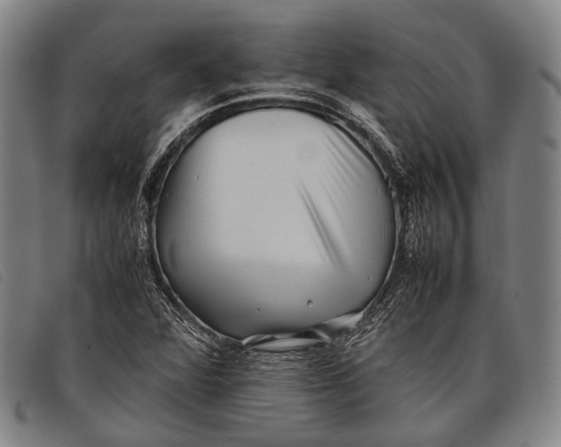 X0000097841360200804041434