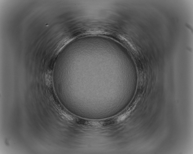 X0000097841361200804041434