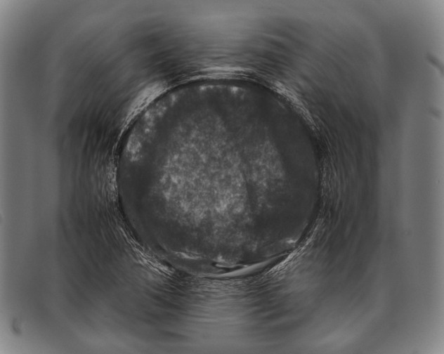 X0000097841362200804041434