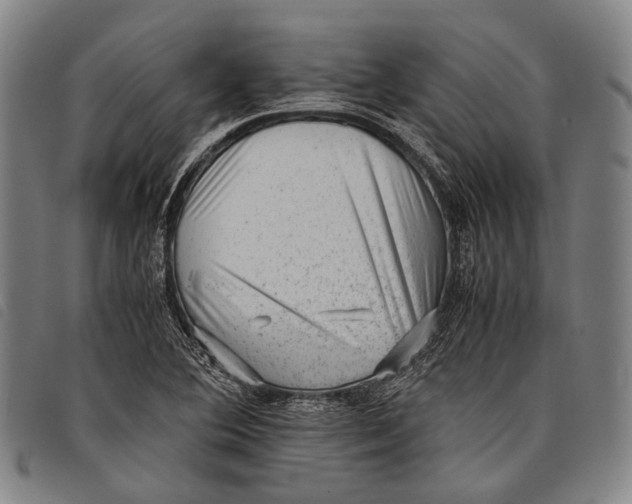 X0000097841364200804041434