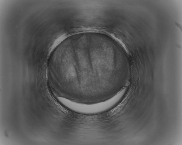 X0000097841365200804041434