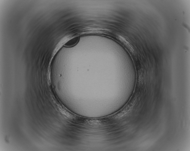 X0000097841370200804041434
