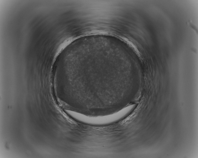 X0000097841373200804041434