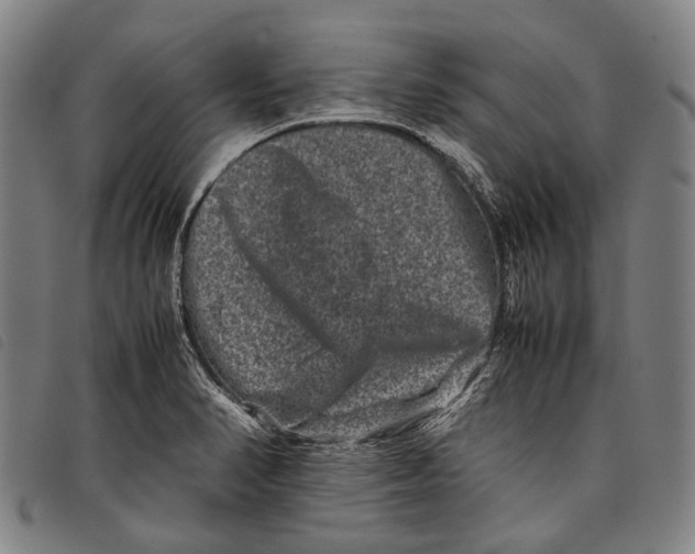X0000097841374200804041434