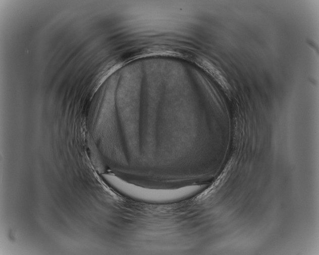 X0000097841377200804041434