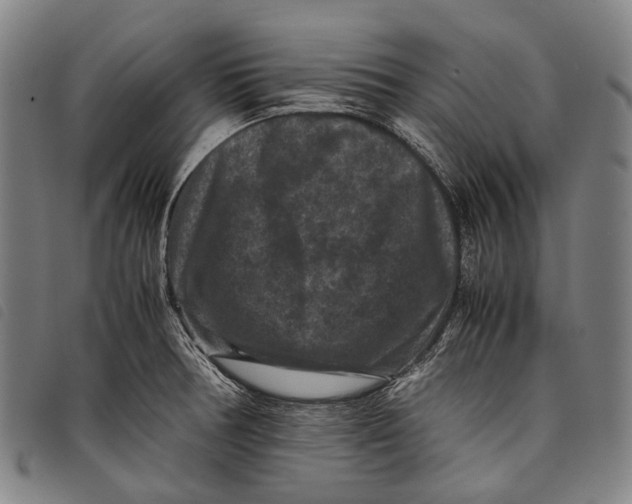 X0000097841378200804041434