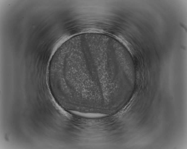 X0000097841379200804041434