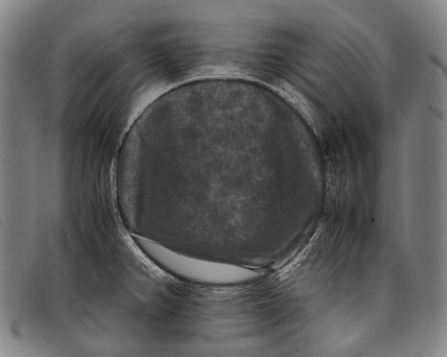 X0000097841382200804041434
