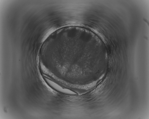 X0000097841383200804041434