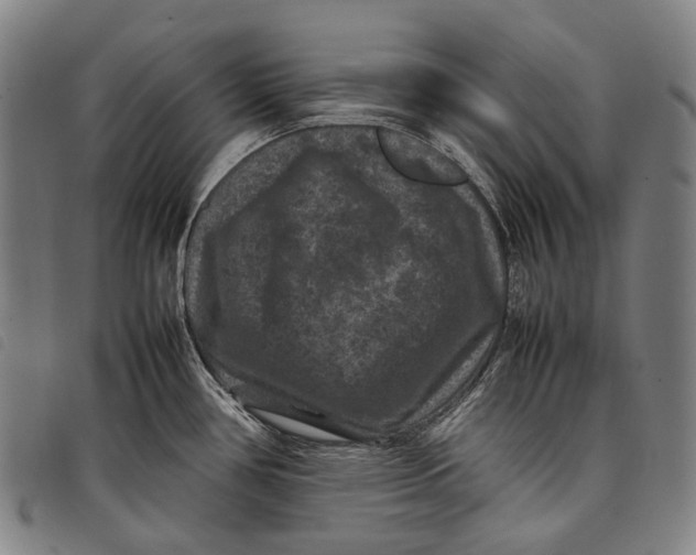X0000097841386200804041434