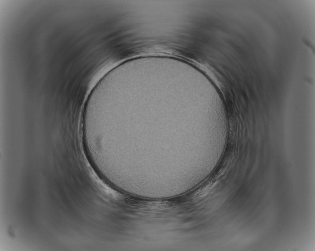X0000097841387200804041434