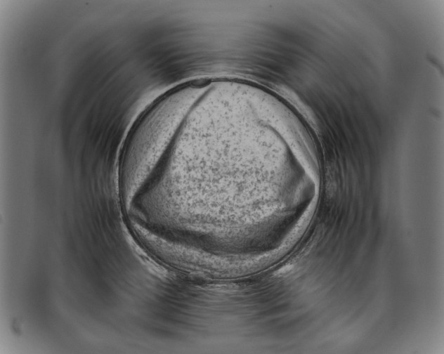 X0000097841388200804041433
