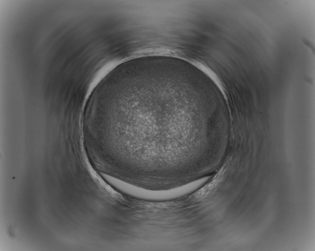 X0000097841389200804041433