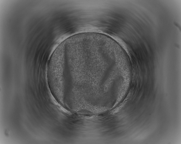 X0000097841390200804041433
