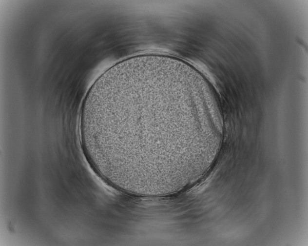 X0000097841391200804041433