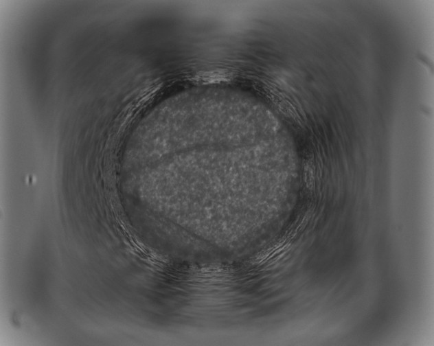 X0000097841393200804041433