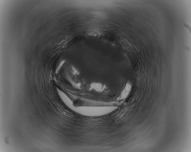 X0000097841394200804041433