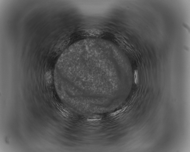 X0000097841395200804041433