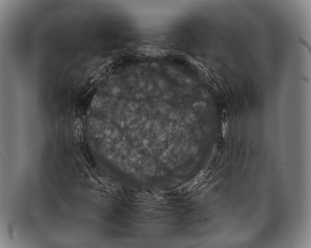 X0000097841397200804041433