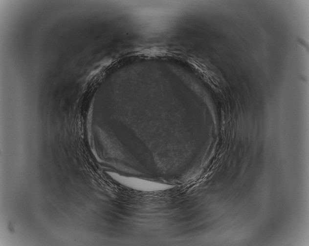 X0000097841398200804041433