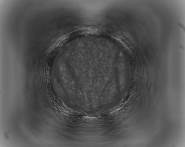 X0000097841399200804041433