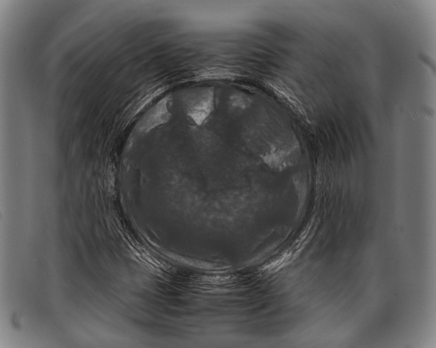 X0000097841401200804041433