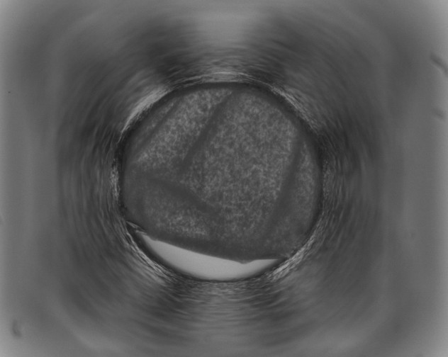 X0000097841402200804041433