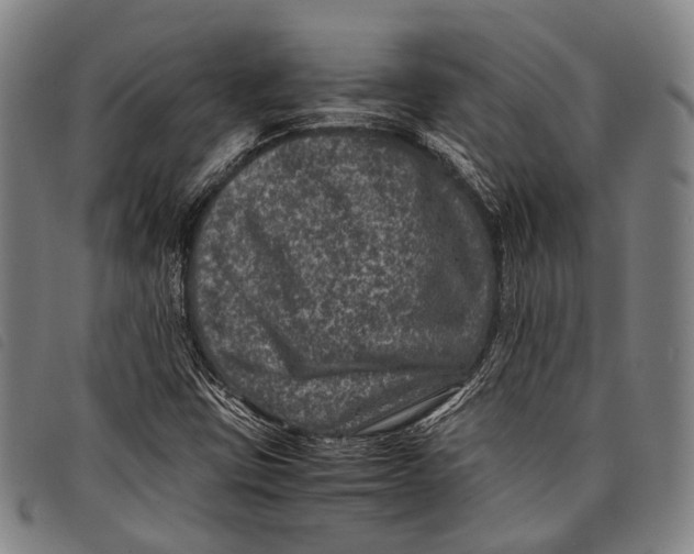 X0000097841403200804041433